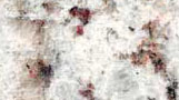 Granito Branco Dallas