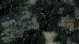 Granito Verde Butterfly