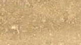 Travertino Romano Polido